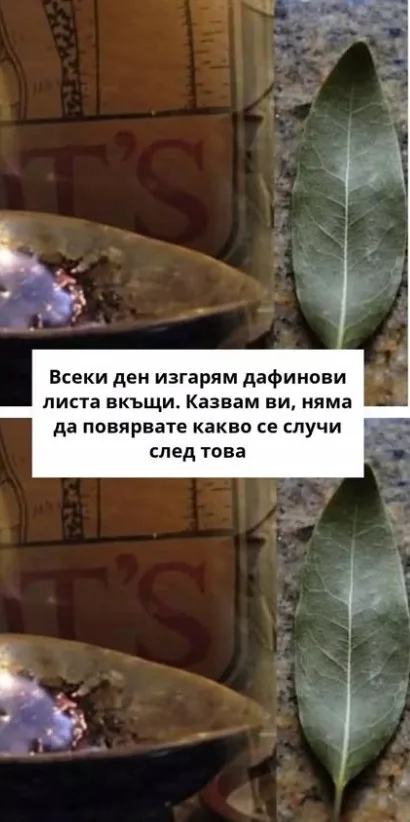 470005243 122157694082271488 2171439925429228460 n