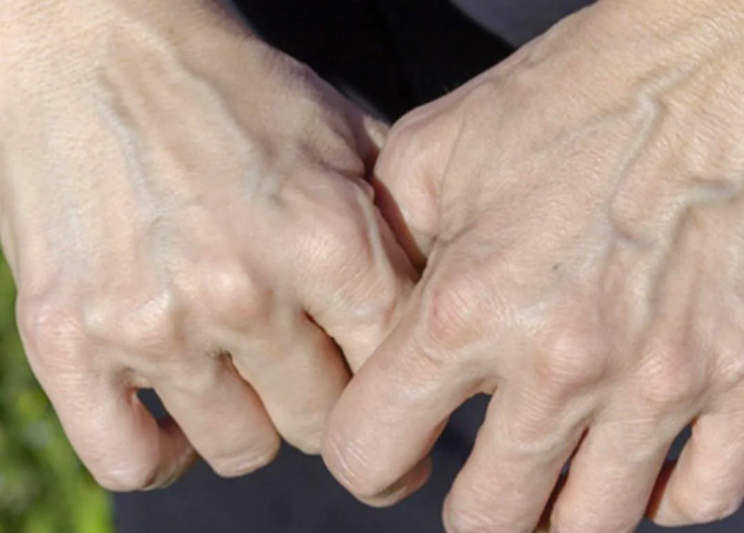 505527636 729385959782571 507712831585243223 n