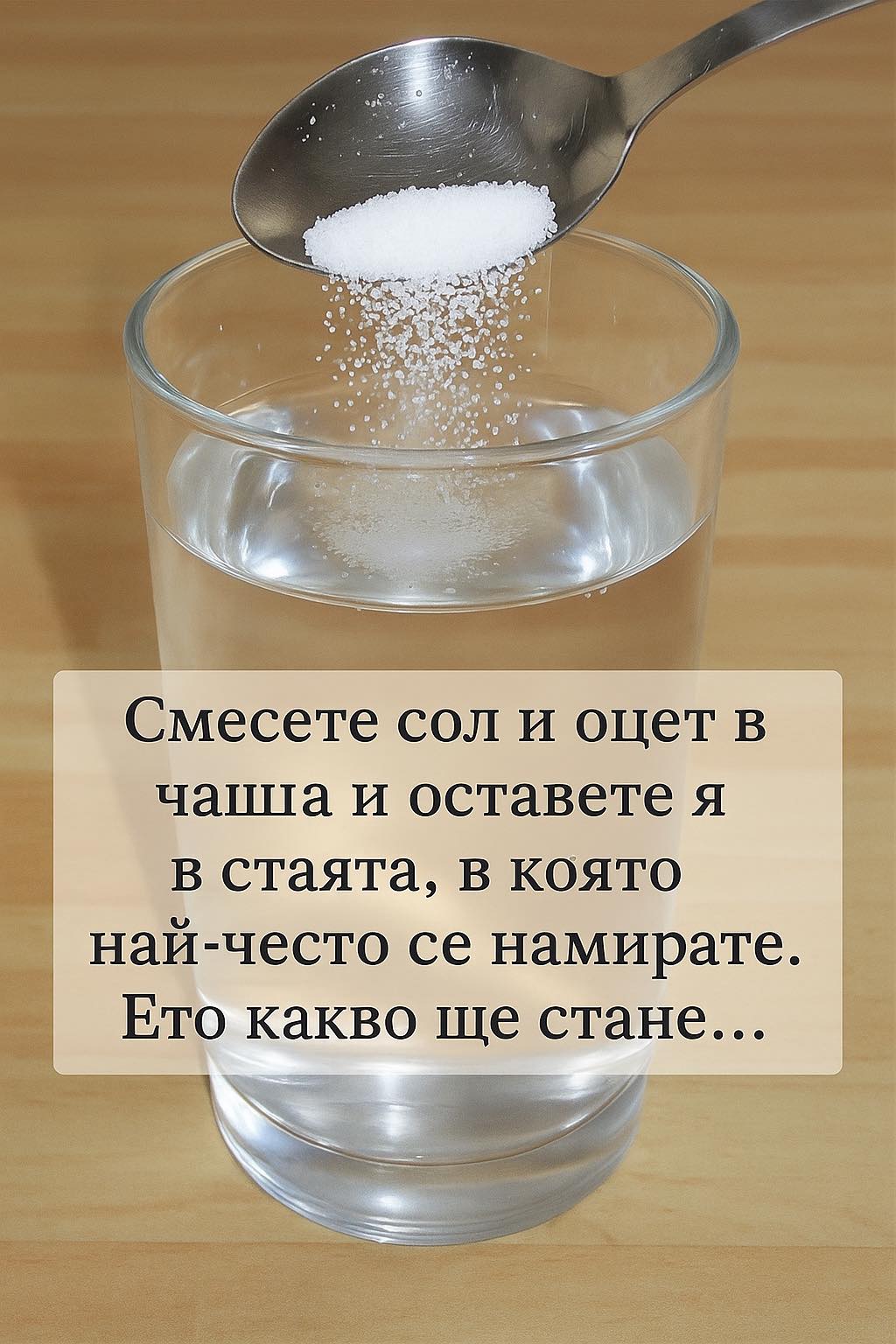 525438793 805171942082854 8140156842037526117 n