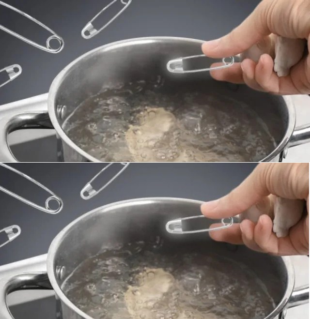 534411468 823094093380033 5133717222508102850 n