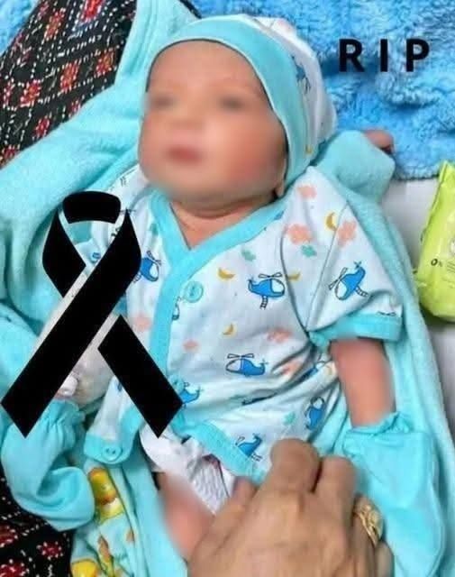 537635122 788474533525781 3296845836930461653 n