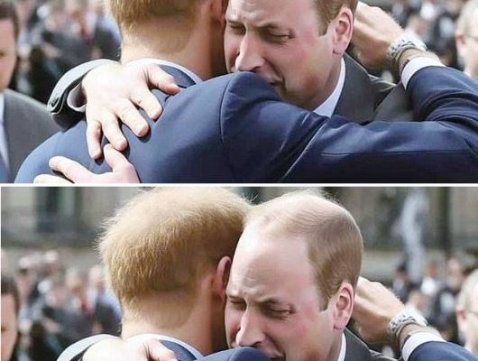 79cf9532c4cdbff44a82ed021de993f9 530x400 1