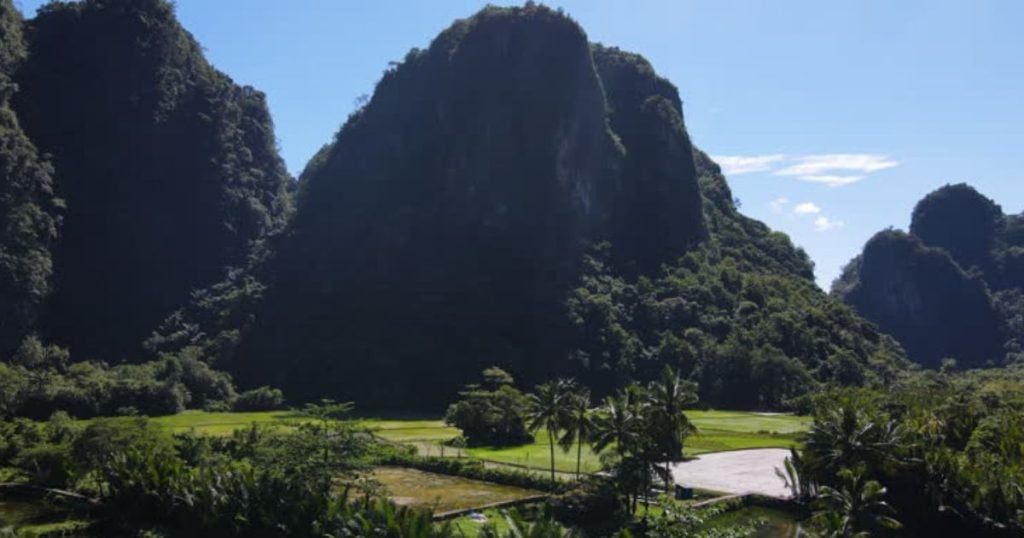 Трагедия сполетя тази сутрин 54-годишна жена, тя загуби живота си в градината си, след като... 8 3 112