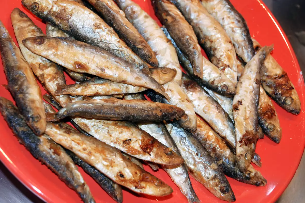 Празни заведения: Порция цаца по Южното Черноморие удари...