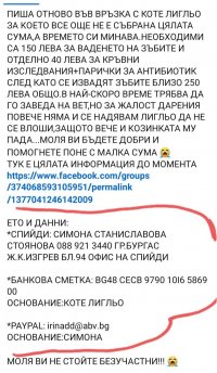 снимка 18 ВНИМАНИЕ! Пазете се от тази мошеничка (Снимки)