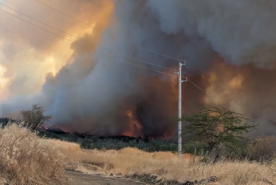 Извънредно! Голям пожар край Българово, евакуират наред Снимки