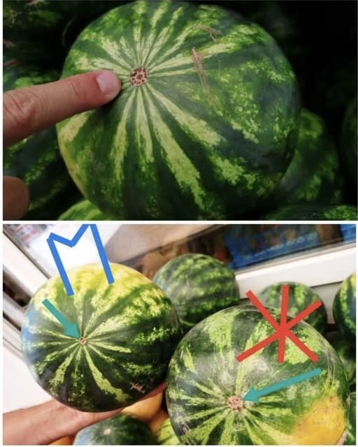 Малцина знаят, че има женски дини и точно те са най-сладки и сочни! Ето как да ги изберем