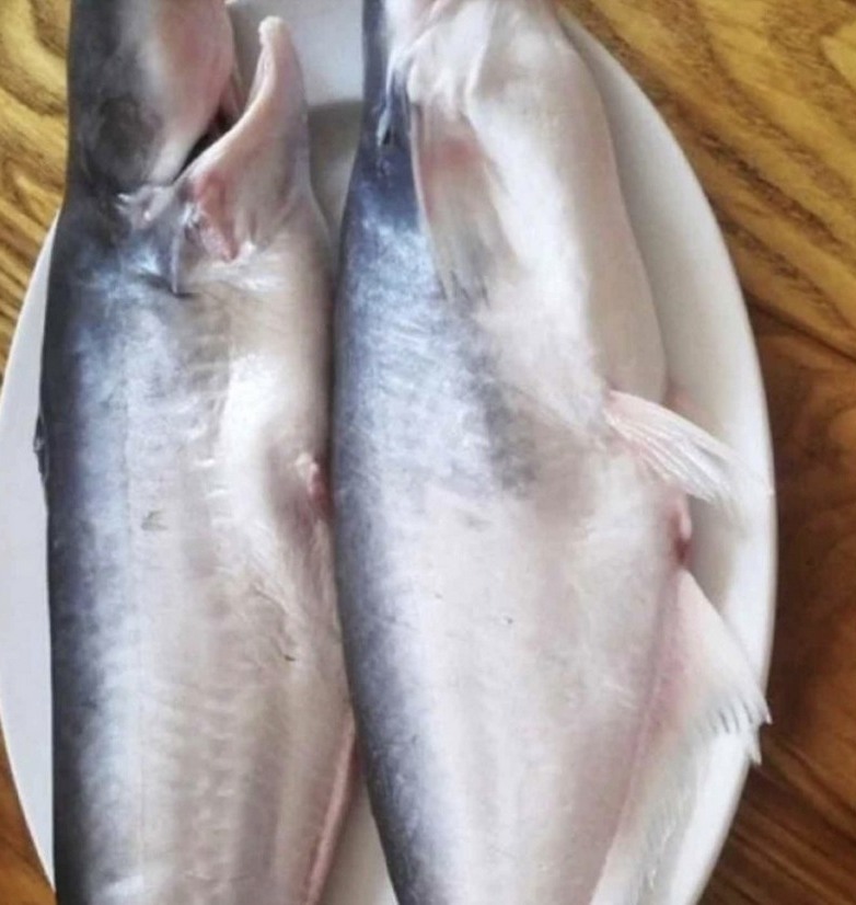 529615816 765298796076269 266826