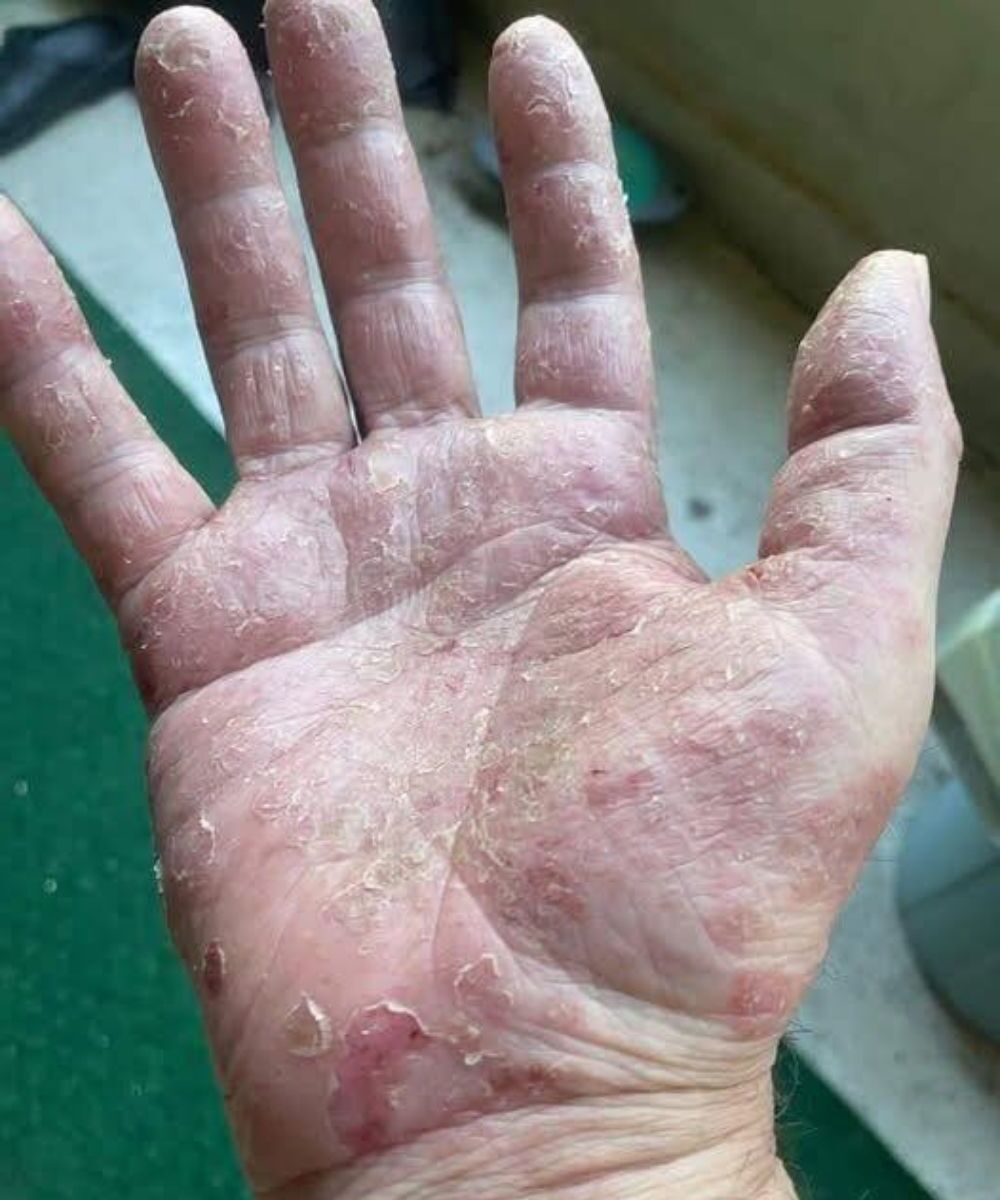 538250508 1329713265214036 59412