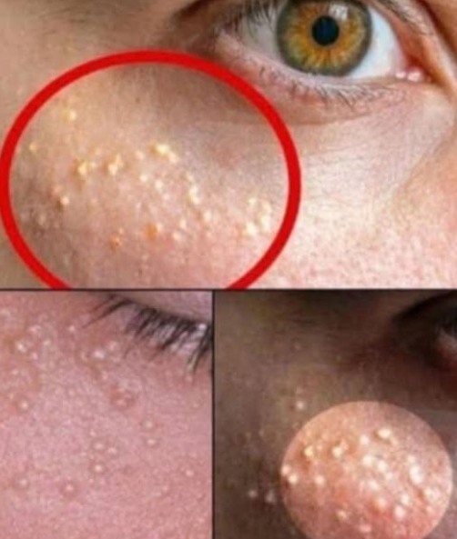 540833364 785288670743948 534670