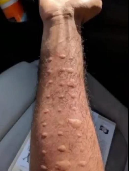 543374191 798169039222997 8499014465431948352 n