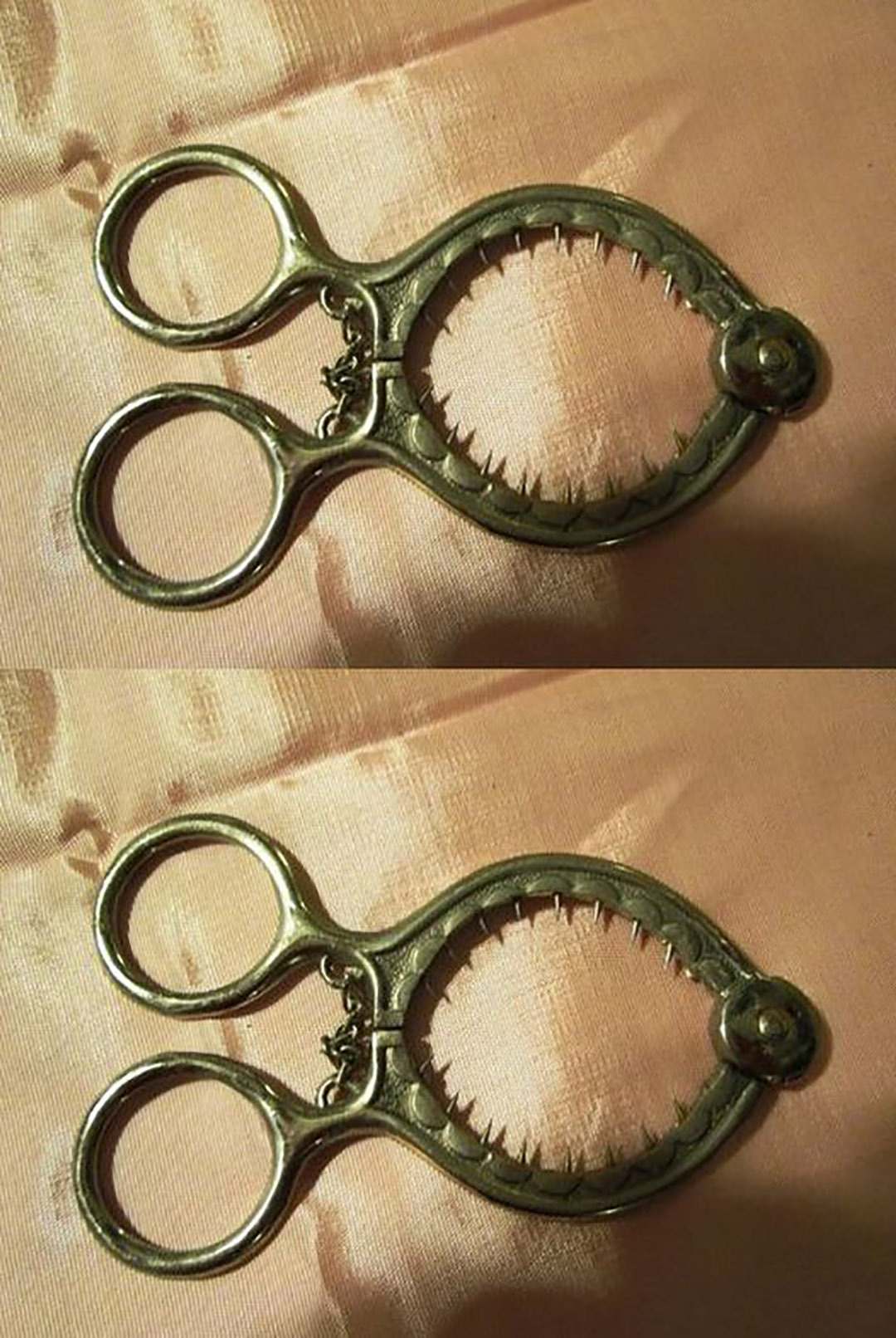 554100298 686418184495872 830475