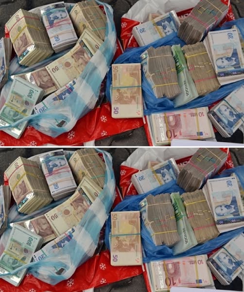 555690124 1225797332925953 3612571934820757737 n