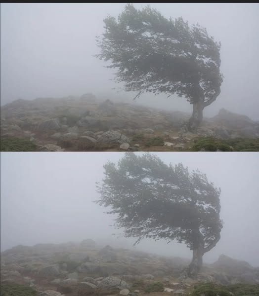 Нещо страшно ни удря до часове, ураганен вятър помита тази част на България