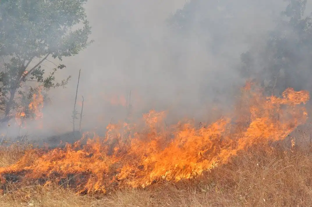 Извънредно: Огромен пожар край Свиленград, огънят стигна болницата, горят къщи и коли