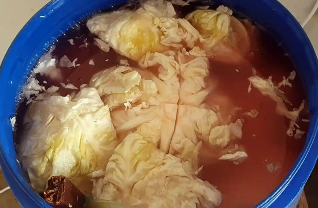 Кога точно се слага зелето, за да стане навреме кисело за Коледа?