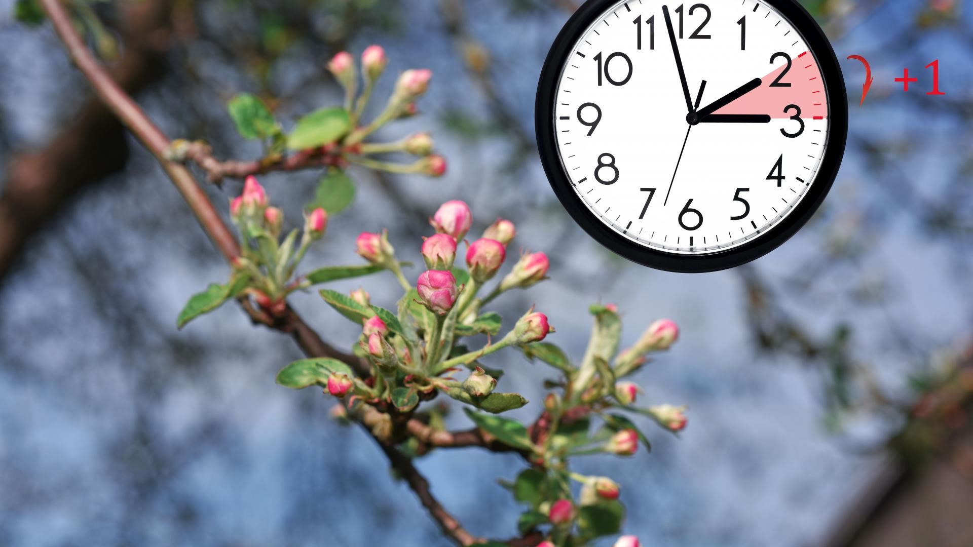 Край със смяната на времето