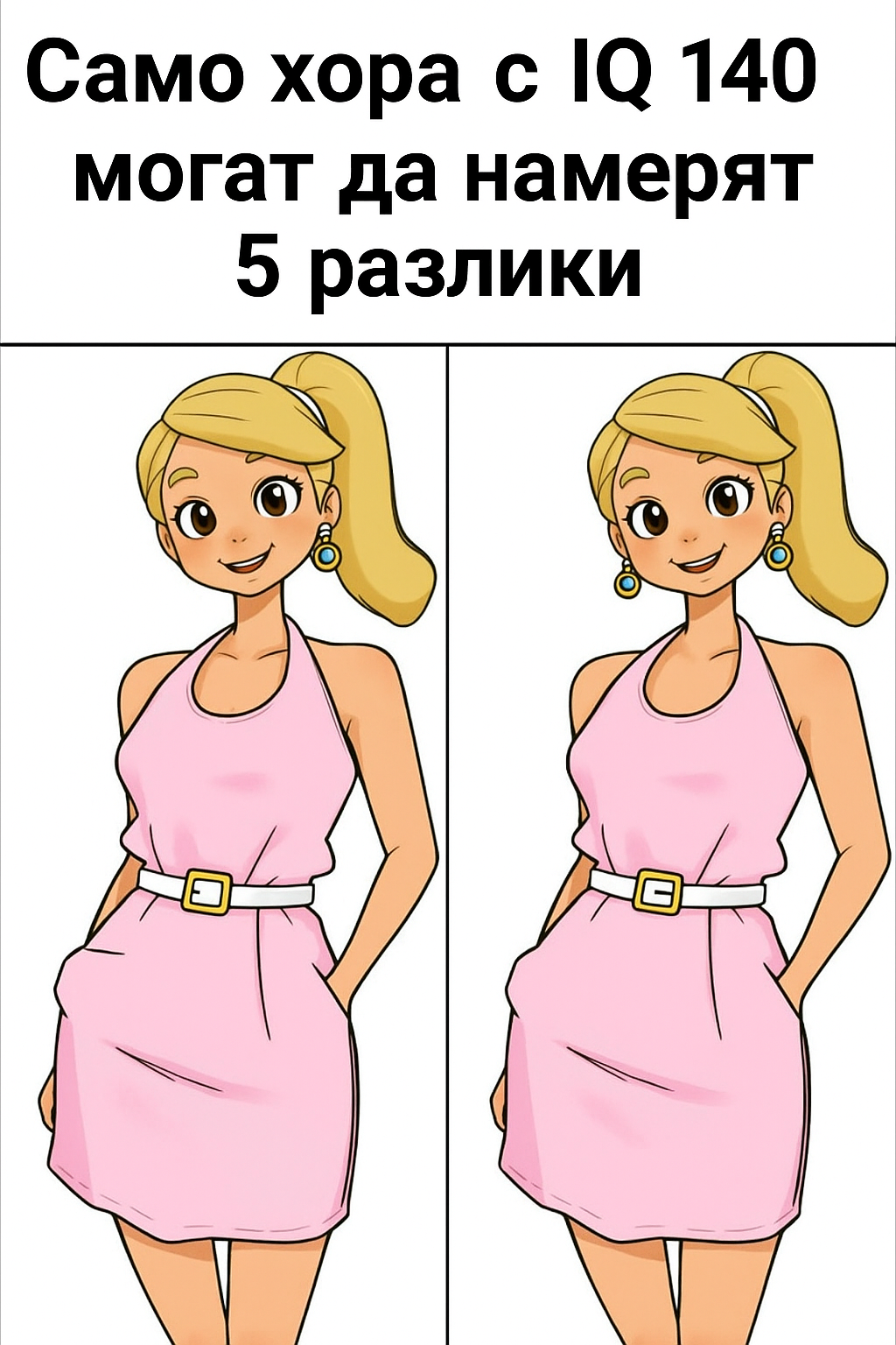 20251024 1334 otkrijte pette