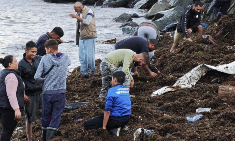 Морето край Царево завря от столевки. Чудо невиждано /ВИДЕО/