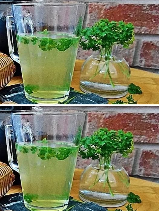 555802955 1130532482559114 3570386076340399406 n