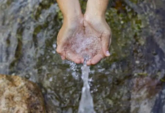 559932588 846453394571991 7332531874615530832 n