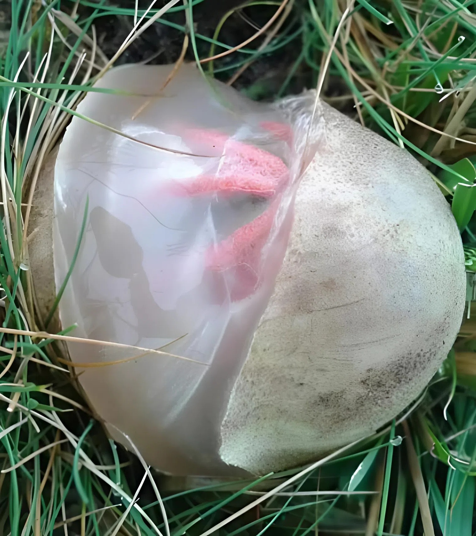 565147678 829137976364819 904508