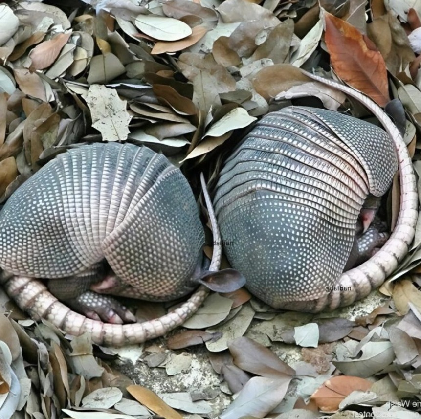 569012233 834572672488016 853185