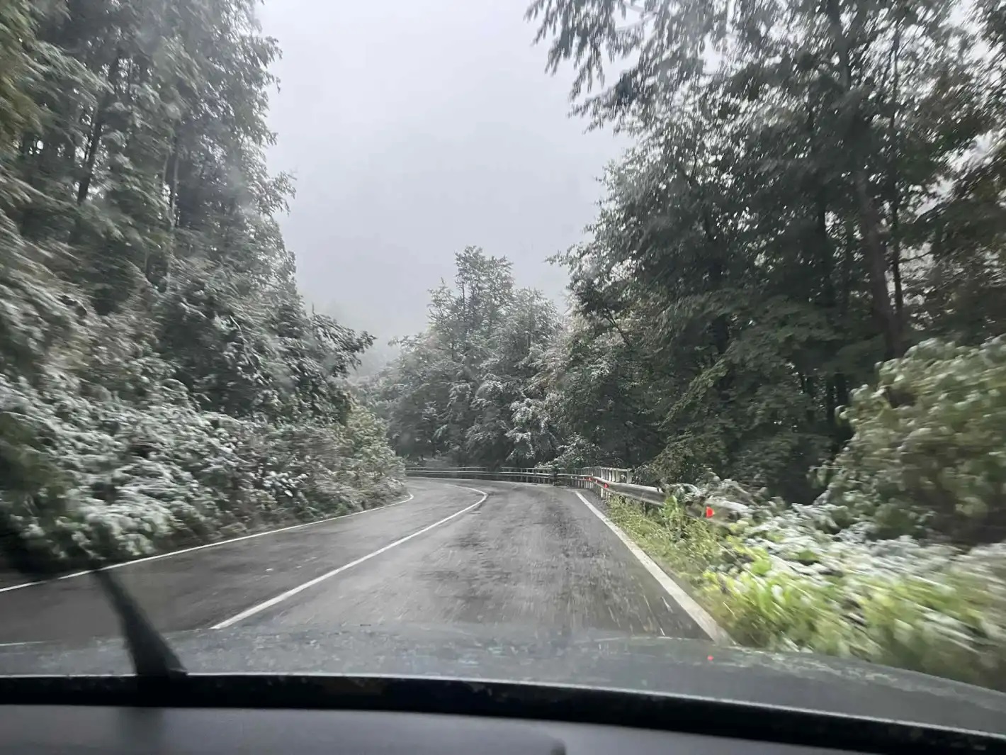 сняг на Петрохан