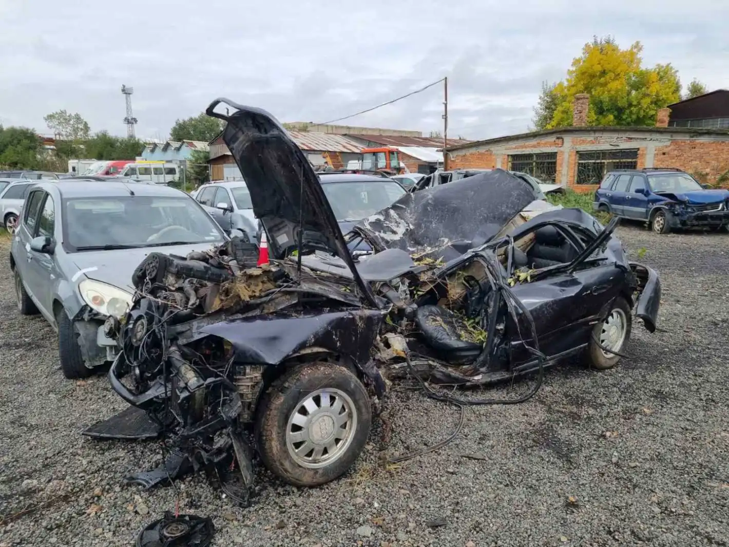 Мъката е огромна! Това е 18-г. Данчо, загинал с най-добрите си приятели край Созопол Снимка