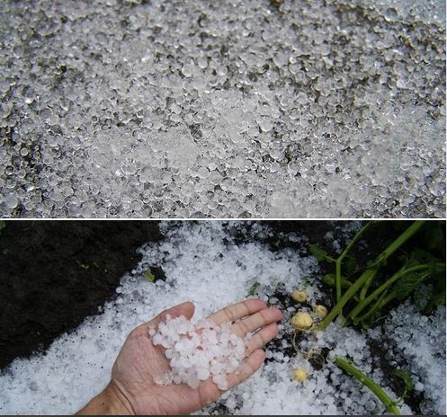 “Барбара” удря отново България: 4 града да се готвят за суграшица