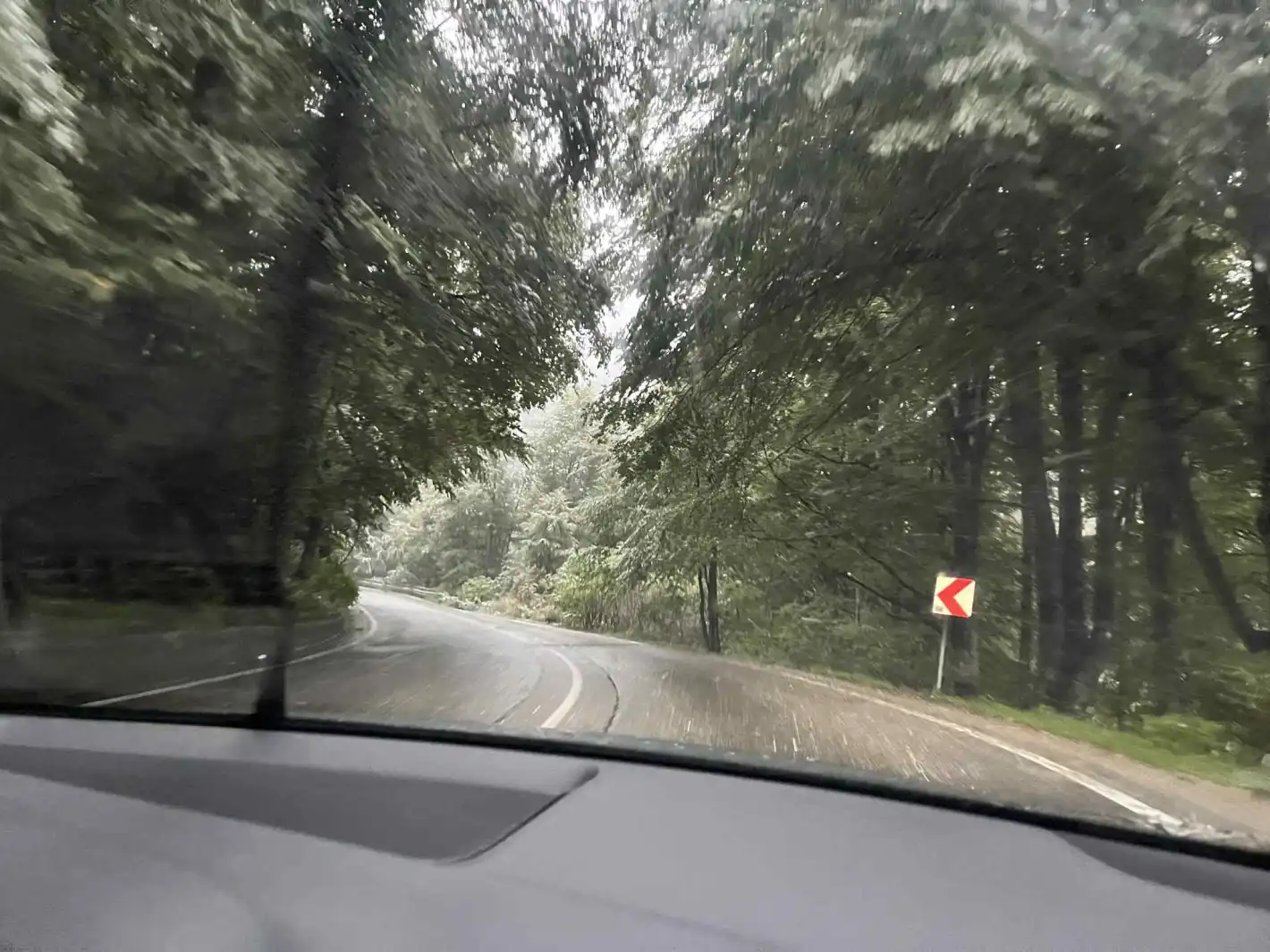 Сняг покри тези части на България! 8 original