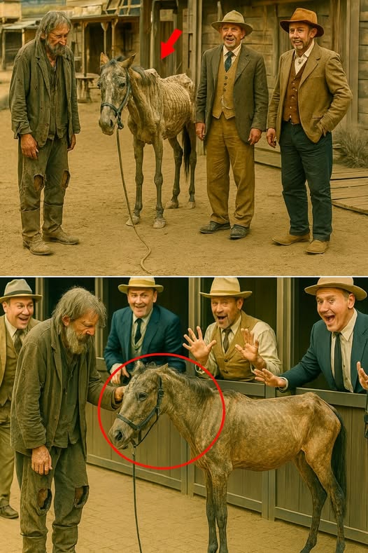 ЕДИН МИЛИОНЕР ПОДАРИ БЕЗПОЛЕЗЕН КОН НА ПРОСЯК НА ШЕГА, НО ПОСЛЕ ГО СЪЖАЛИ ГОРЧИВО…