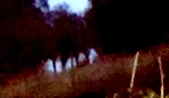 Момиче от Тетевен снима самодиви на Балкана, това Видео смразява кръвта