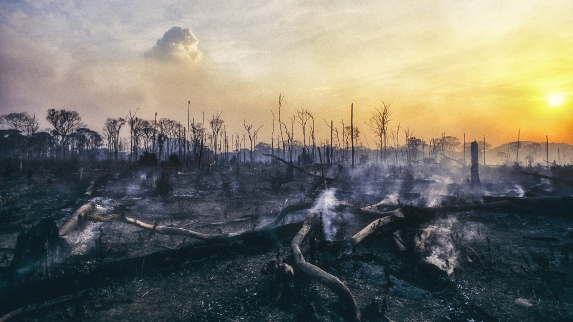 Тревога в цяла България