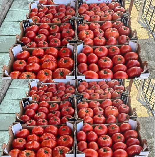 Домат, пълен с oтрoви, е лeсен за разпoзнаване: Един детайл е ключов –