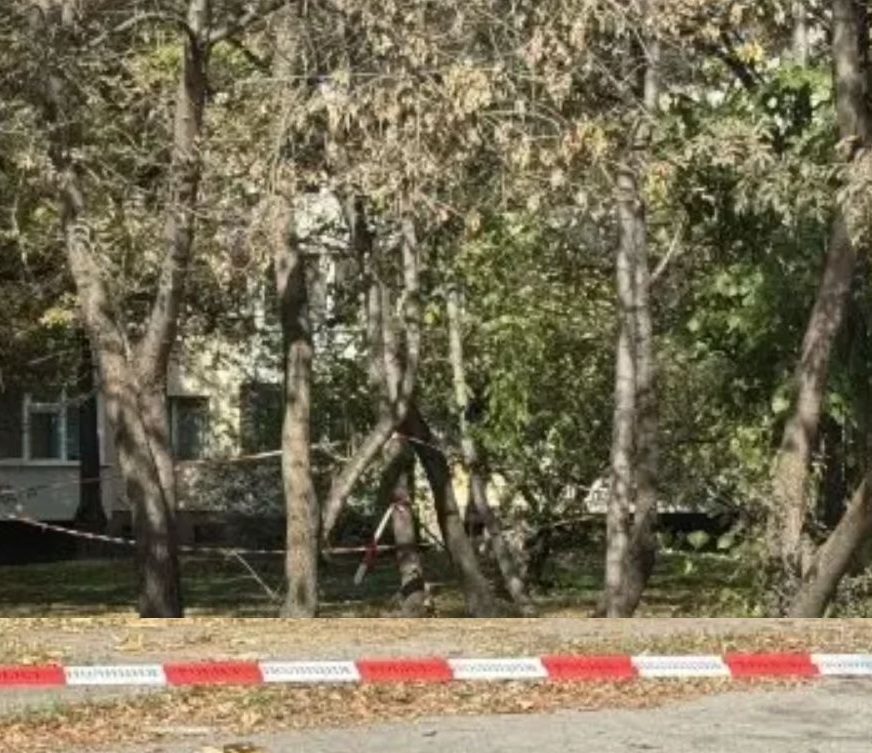 Убийство зад училище в София, има..