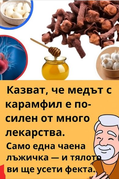 Казват, че медът с карамфил е по-силен от много лекарства. Само една чаена лъжичка — и тялото ви ще усети ефекта.
