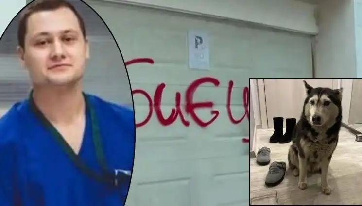 Разтърсващи разкрития от прокуратурата за убийството на кучето Мая!