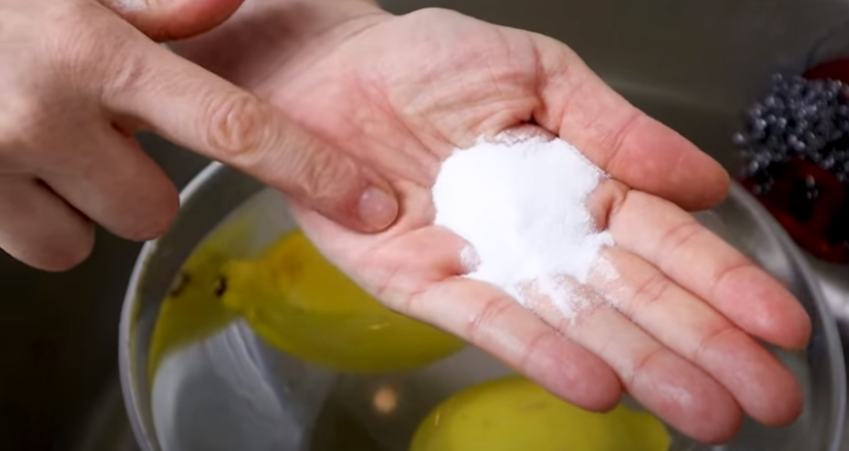 сода в шепа