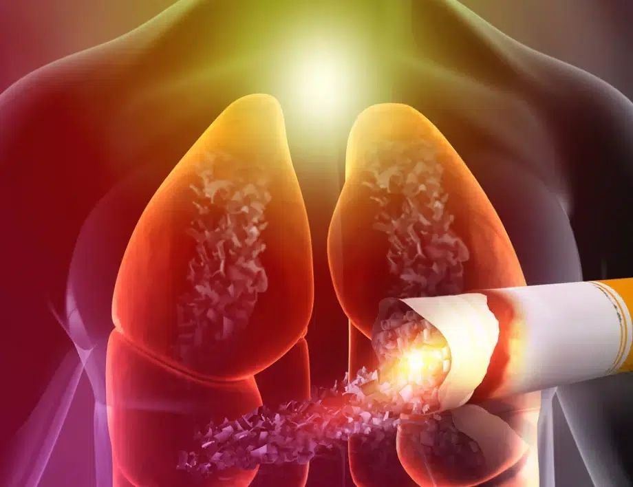 Плодът, който пушачите задължително трябва да ядат…