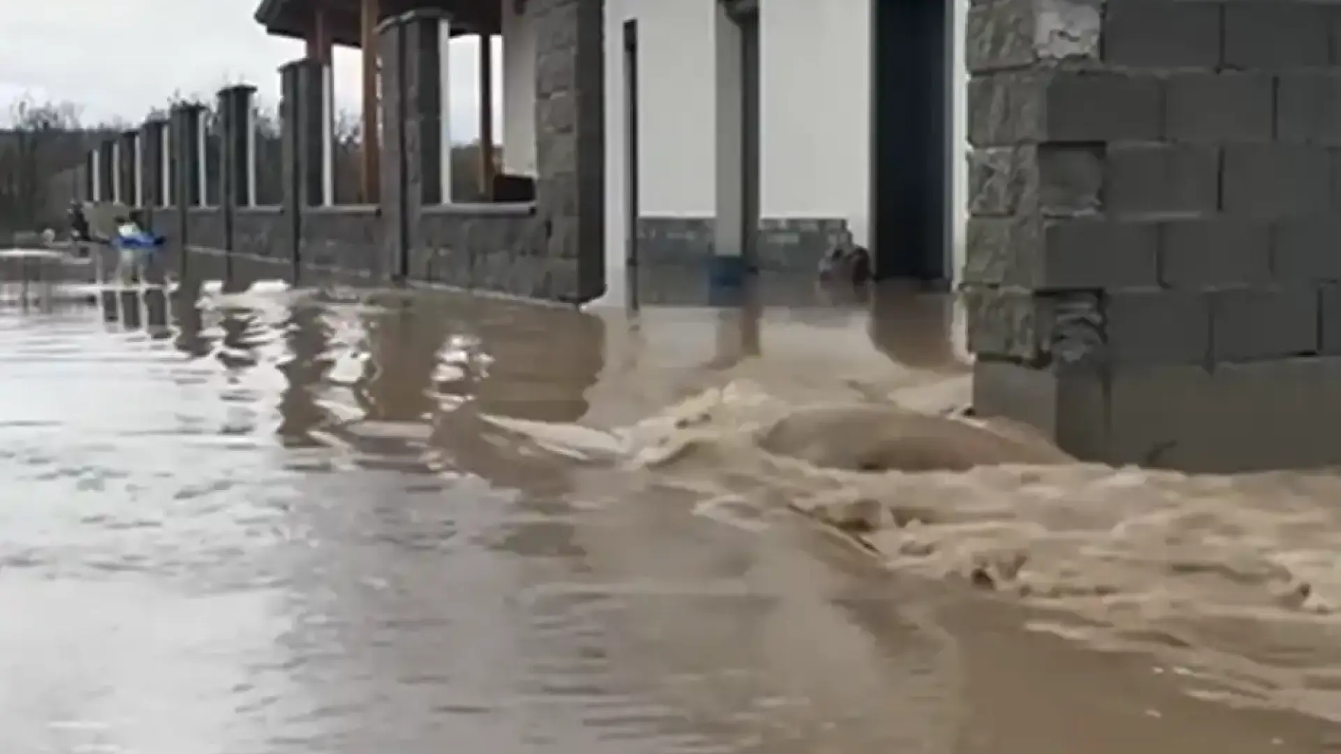 Тревога в България