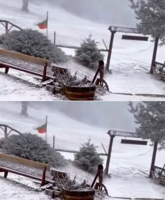 Първият сняг заваля! Ето къде в България зимата вече дойде