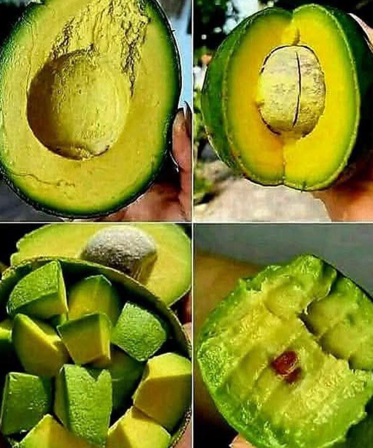 Лекари разкриват, че консумацията на авокадо води до…