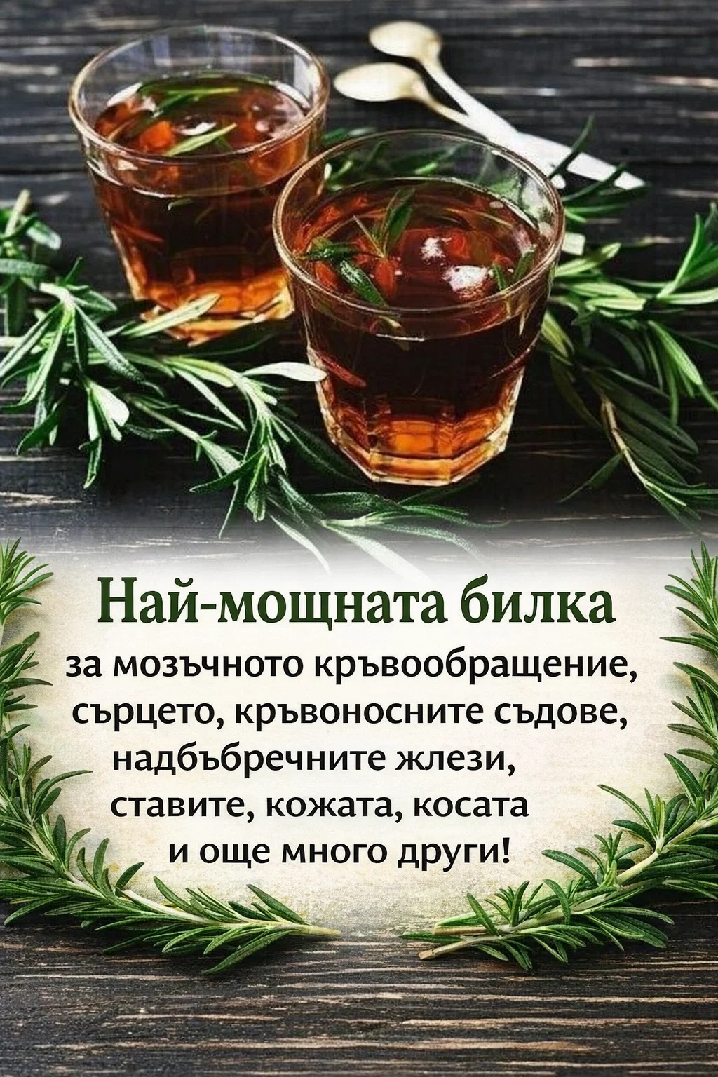 Изключително силна билка за подпомагане на мозъчното кръвообращение, сърцето и кръвоносните съдове, надбъбречните жлези, ставите, кожата, косата и още много други