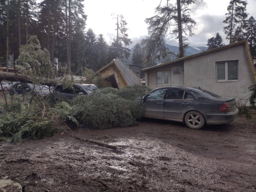 Извънредна ситуация в Боровец! Прекършени борове потрошиха десетки коли (СНИМКИ)