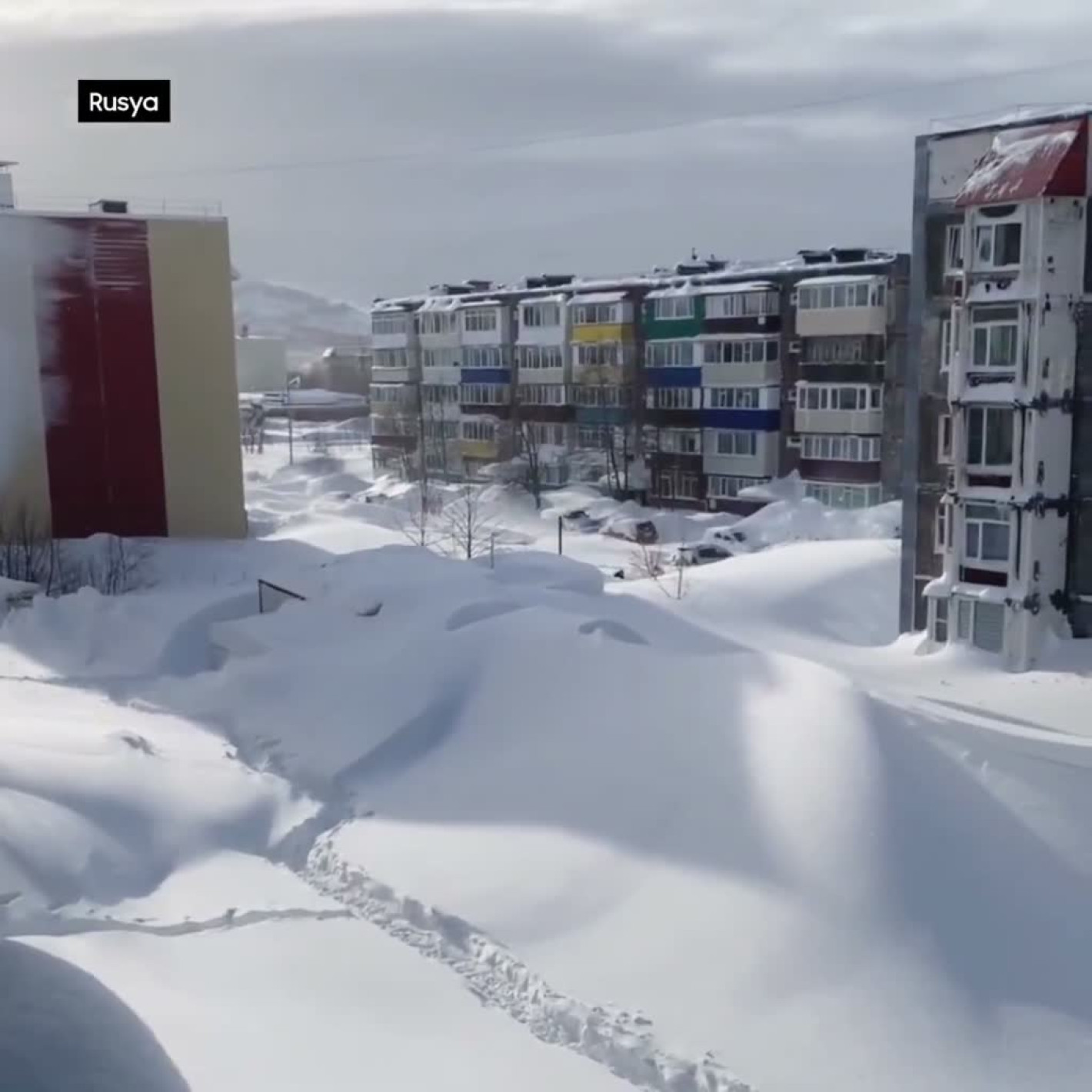 Очакват до минус 30 градуса у нас. Ето къде