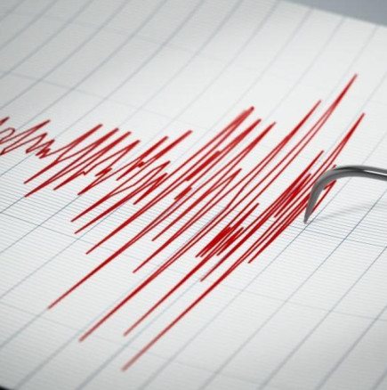 Земетресение в България! На броени километри от…