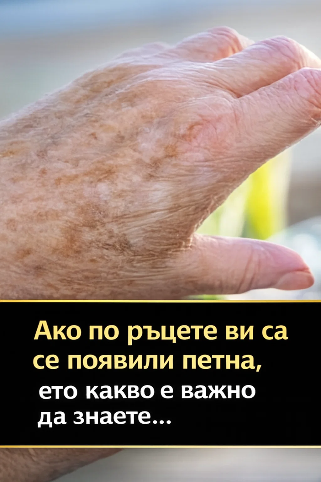 task 01kckbzrcsehpavde3bdbq4wp0 1765881761 img 0