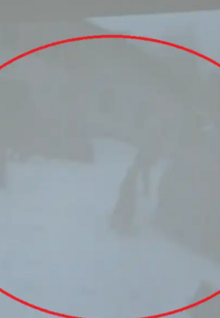 НОВИ КАДРИ! Ивайло, Дечо и Пламен коленичат пред Калушев и…