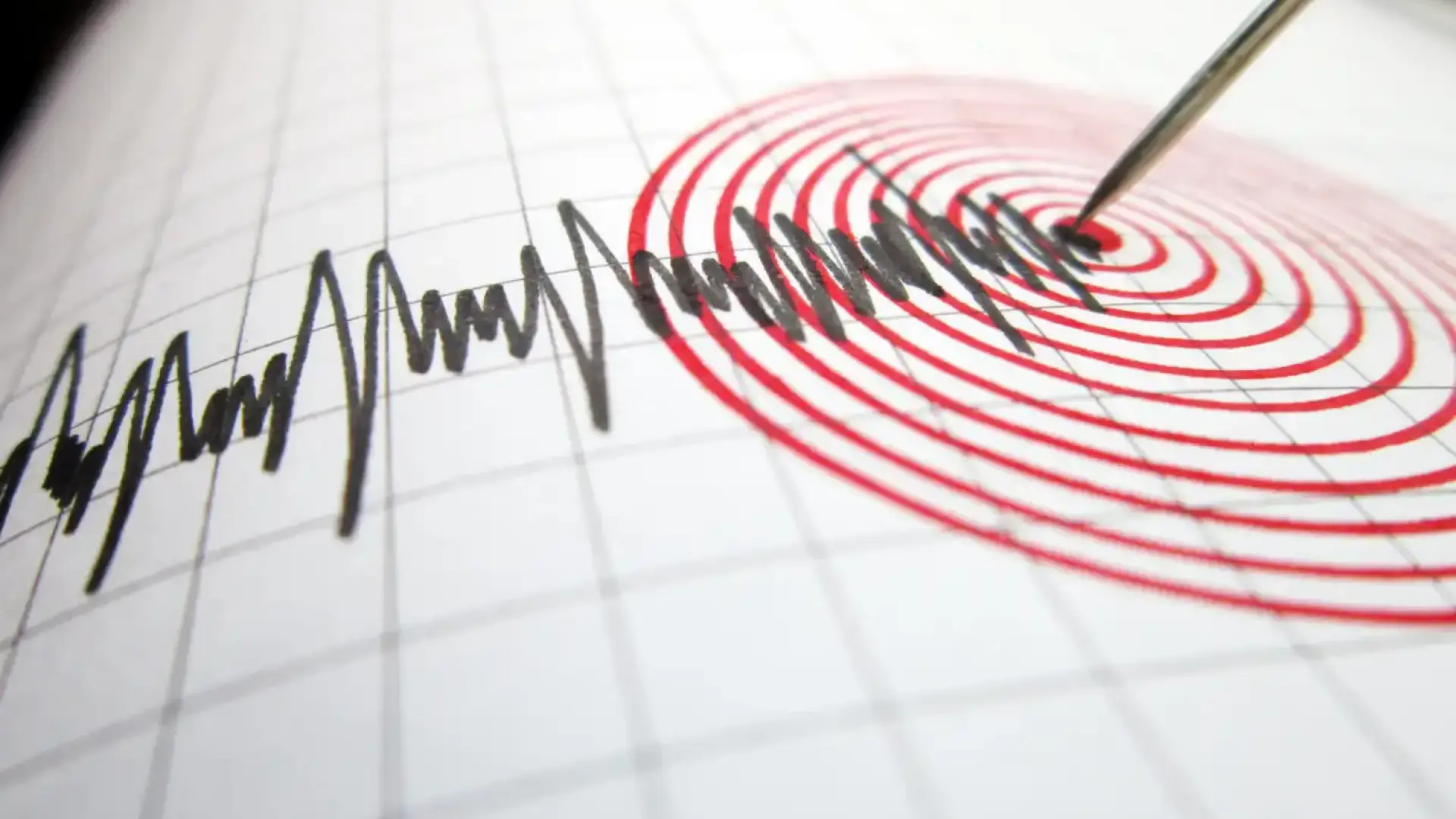 Българи: Земетресението беше силно